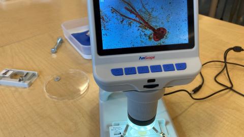 A digital microscope screen on a table displaying an enlarged view of an unknown object.